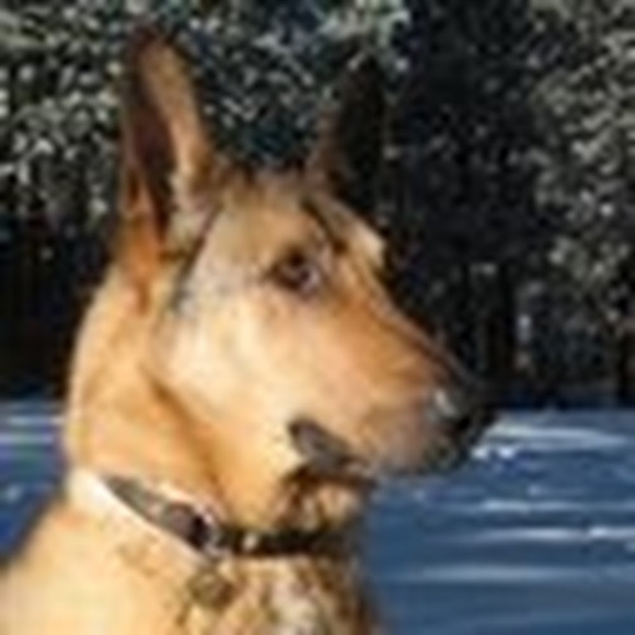 Meet your Posher, Carly - Picture 1 of 1